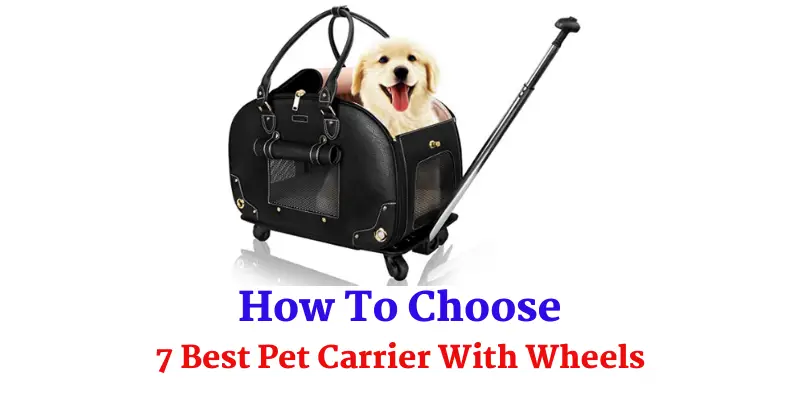 7 Best Pet Carrier With Wheels
