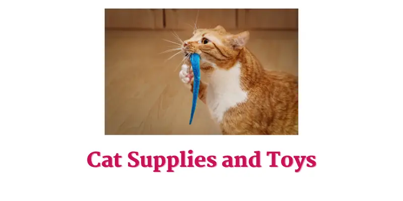 Cat Supplies