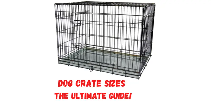 Dog Crate Sizes – Best Crate For My Dog
