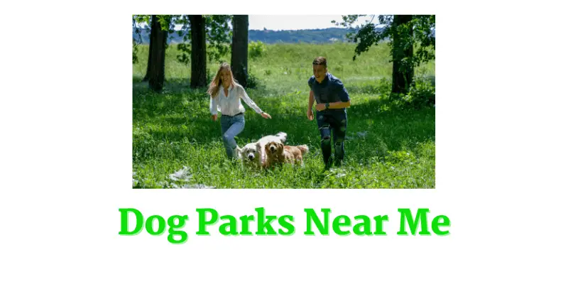 Dog Park Near Me