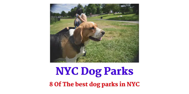 NYC Dog Parks