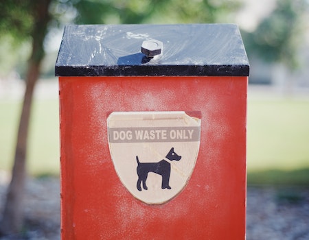 How to Store Dog Poop Until Garbage Day