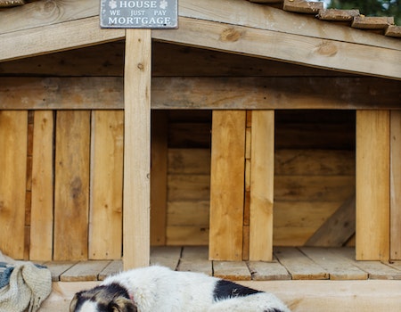 To shingle, a dog house, first prepare the building materials. Typically, wood is the best choice, but you can use other materials as well, such as plastic. Make sure to use nails to fasten the pieces together. In addition, the base should not touch the ground to prevent damp soil from getting into the structure and rotting it.