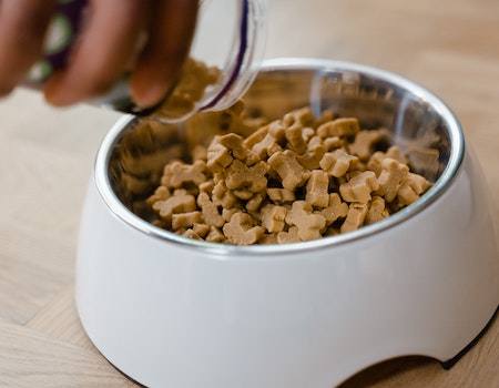 How to Soften Dog Treats