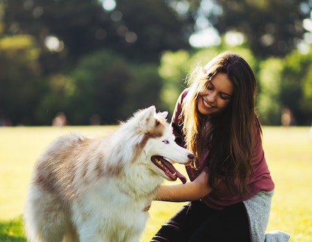 One of the best ways to bond with your dog is to play games with him. Dogs love to play, and games like fetch, tug-of-war and chase help build a stronger bond between the two of you. Playing these games makes you the center of attention and excitement for your dog, and he will appreciate your attention and energy.