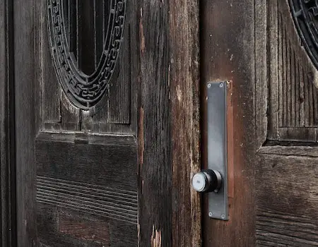 Tips on how to fix dog scratches on wood door