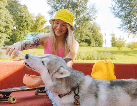 How to Clean Dog Water Dispenser